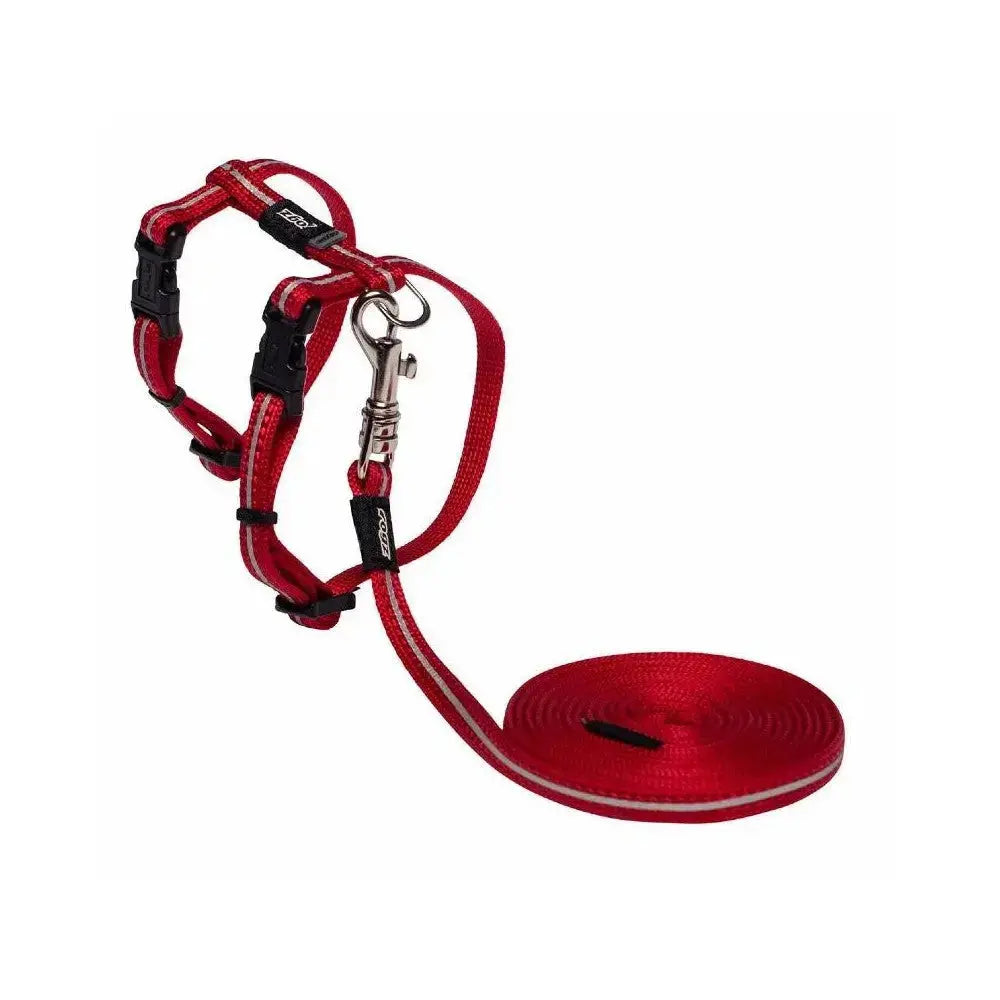 Red dog harness and leash set for comfortable and secure pet walks.