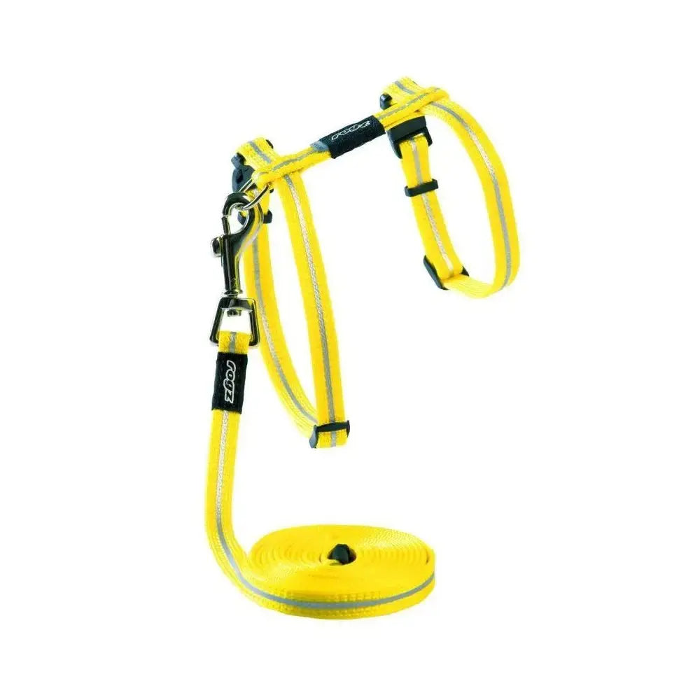 Bright yellow dog harness and leash set for safe and comfortable outdoor walks.