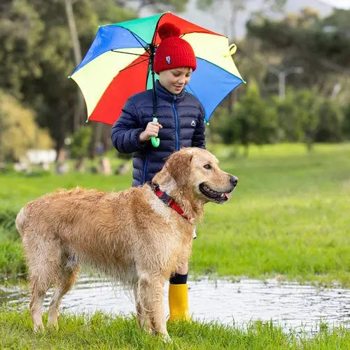 Child with colorful umbrella standing beside a golden retriever in a grassy field.