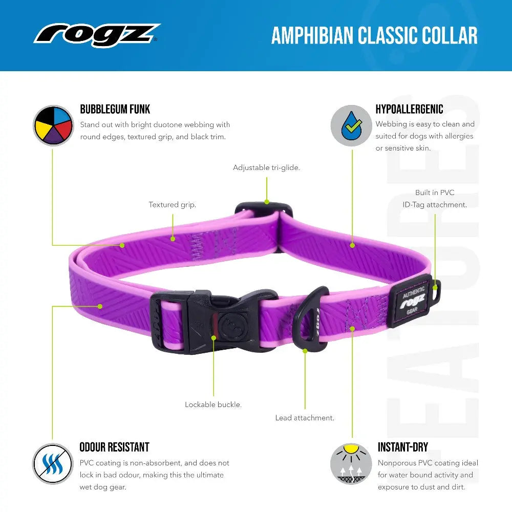 Purple Rogz Amphibian Classic Collar with adjustable tri-glide and built-in ID tag attachment.