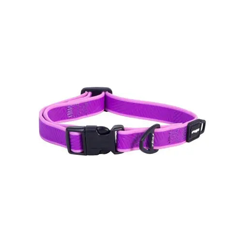 Purple dog collar with adjustable buckle and durable design for pet comfort and safety.