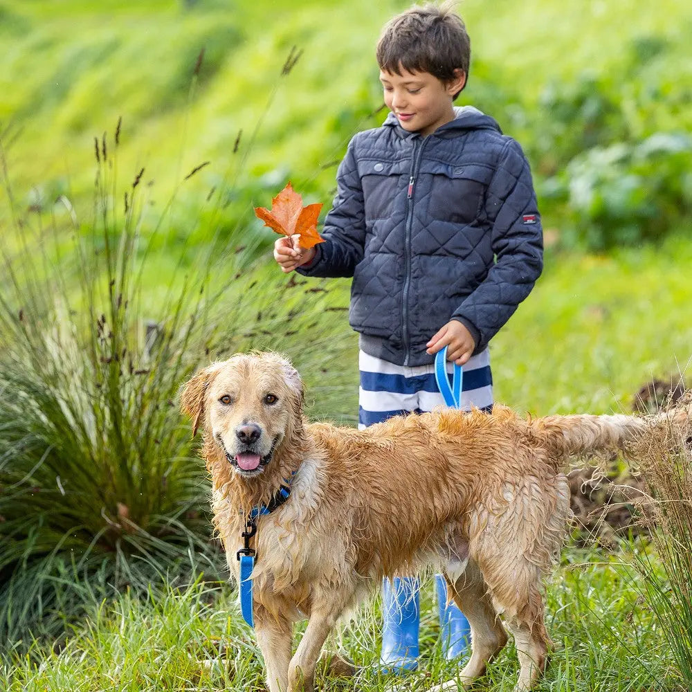Boy playing with a golden retriever in a grassy field, enjoying nature and autumn leaves.