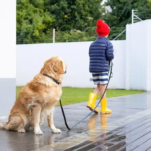 Child in yellow rain boots walks a golden retriever on a leash in a rainy outdoor setting.