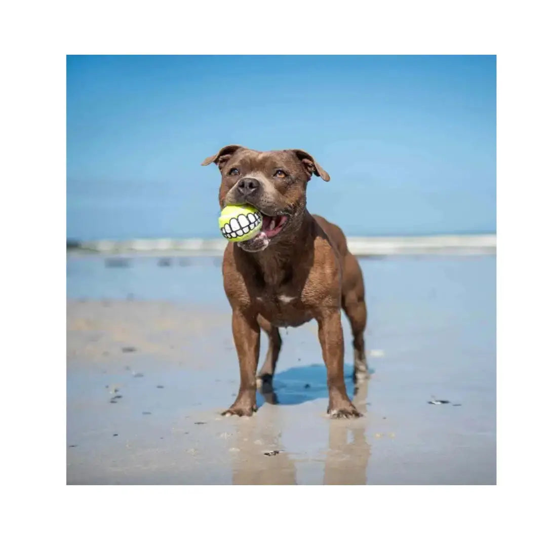 Rogz Ballz Grinz Dog Ball Toy   | Canine & Co