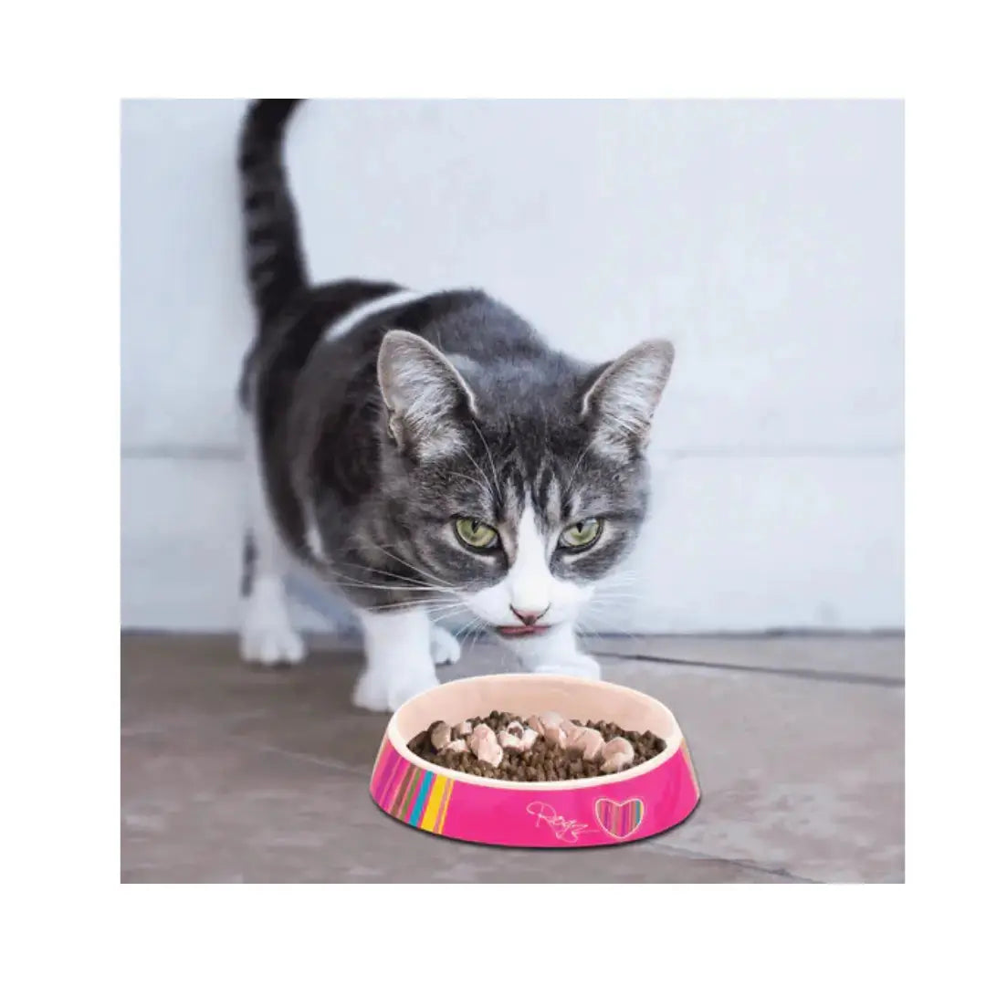 Rogz Catz Bowl Fishcake   | Canine & Co