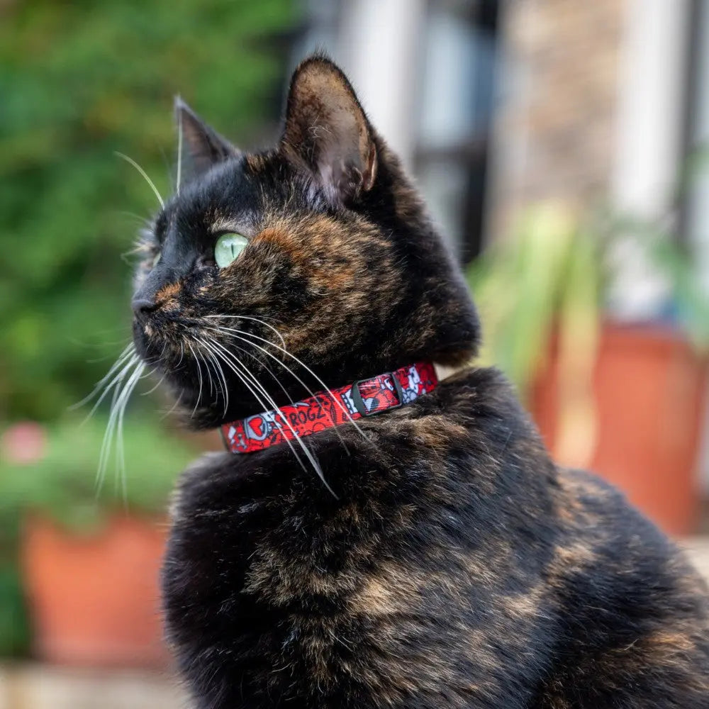 Tortoiseshell cat wearing a colorful collar, gazing outdoors in a lush garden setting.