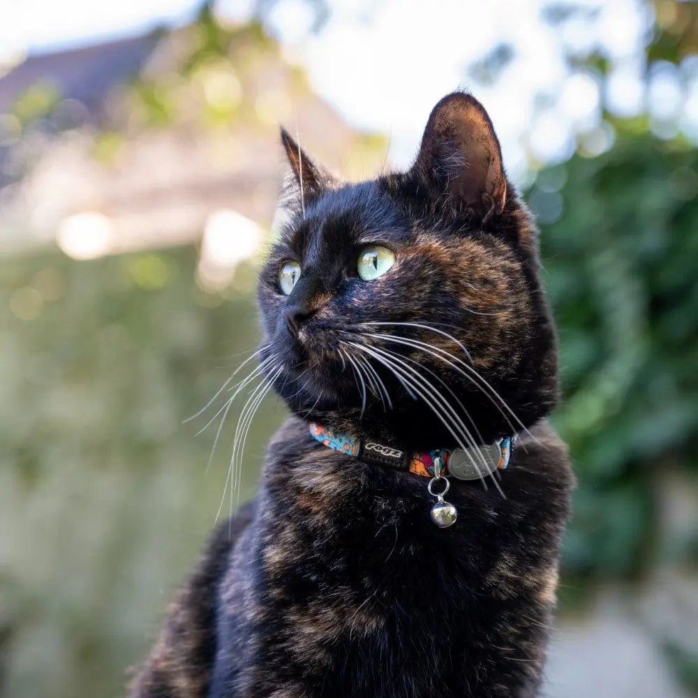 Tortoiseshell cat with striking green eyes, wearing a colorful collar, gazing outdoors.