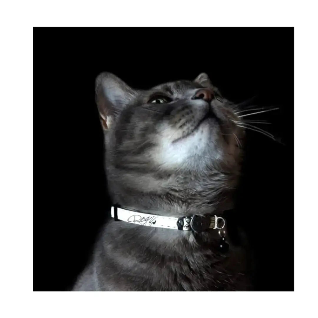 Rogz Catz GlowCat Collar   | Canine & Co