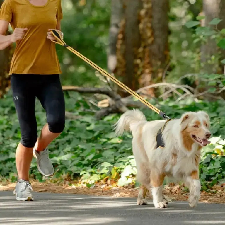 Rogz Dog AirTech Classic Dog Leash   | Canine & Co