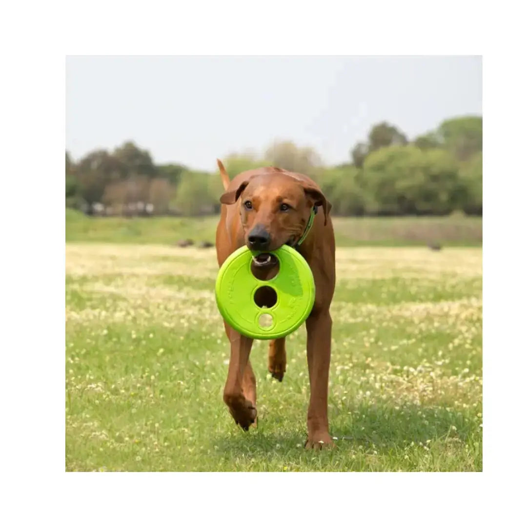 Rogz Dog Flyer RFO Dog Throw Toy   | Canine & Co
