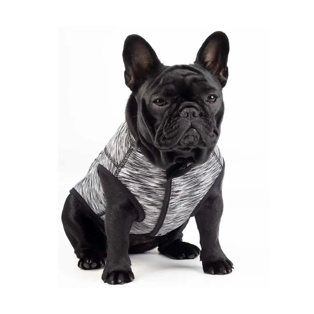 Rogz Dog Vest ComfySkin   | Canine & Co