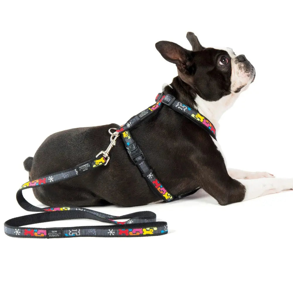 Black and white dog wearing a colorful harness and leash, resting on a white background.
