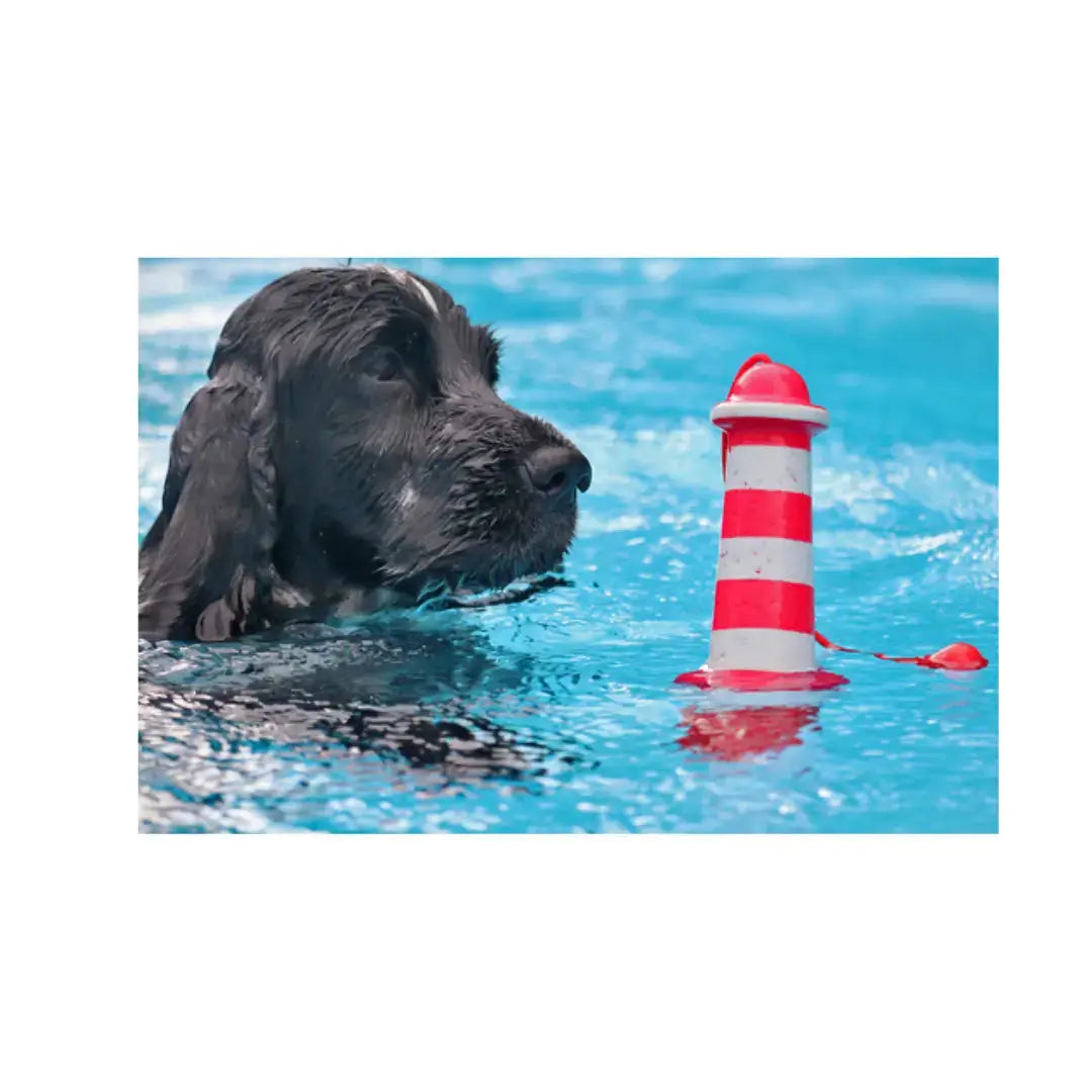 Rogz Floating Lighthouse Dog Chew Toy   | Canine & Co