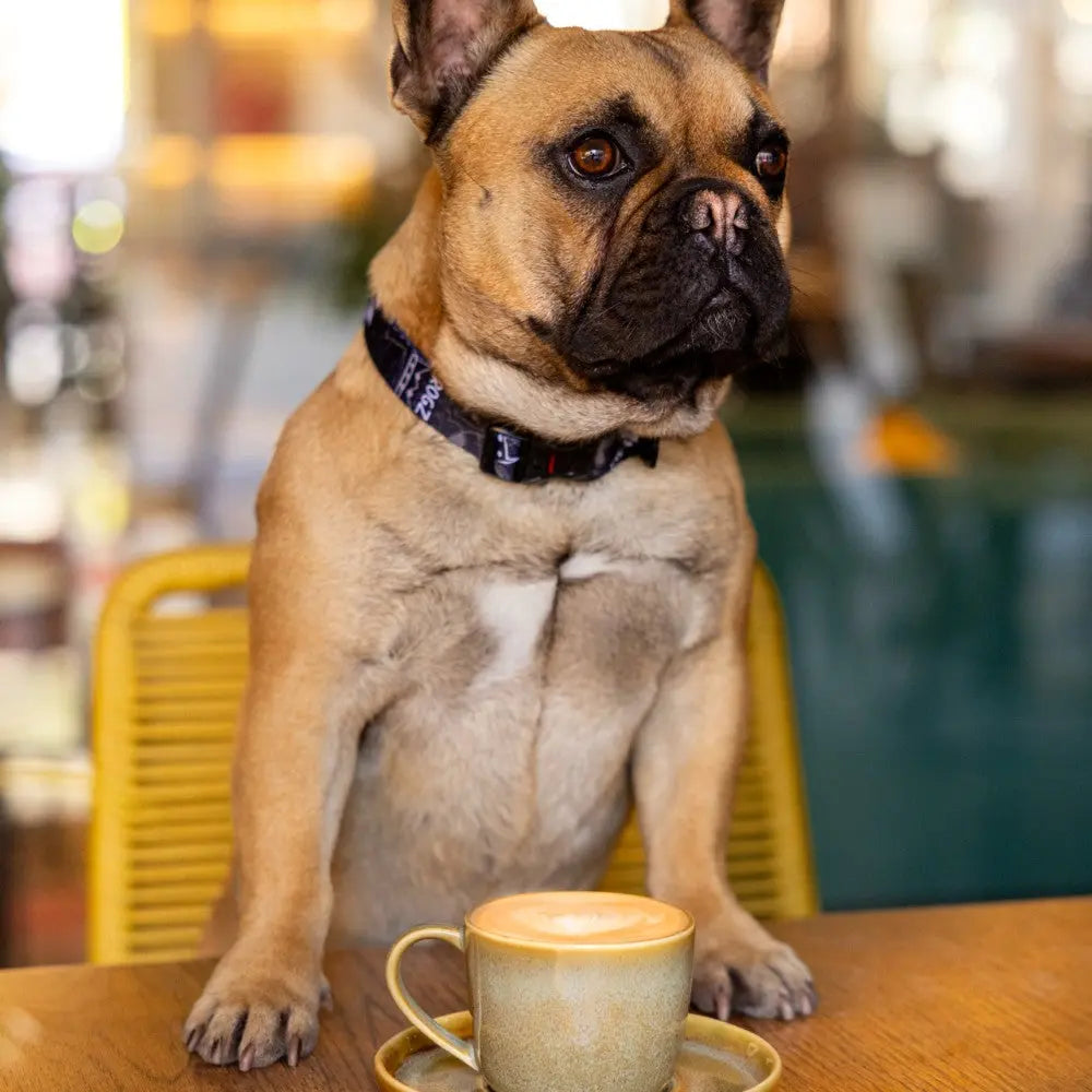 French Bulldog sitting at a table next to a coffee cup, enjoying a cozy café atmosphere.