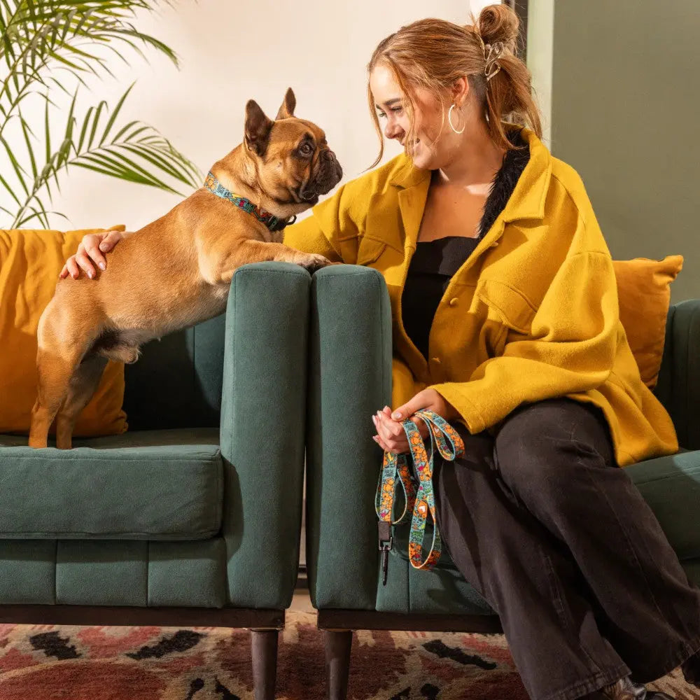 Woman in a yellow jacket interacts with a French Bulldog on a green couch.