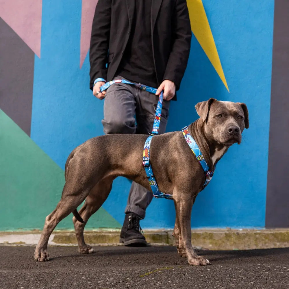 Dog on a colorful leash stands confidently beside its owner against a vibrant mural backdrop.