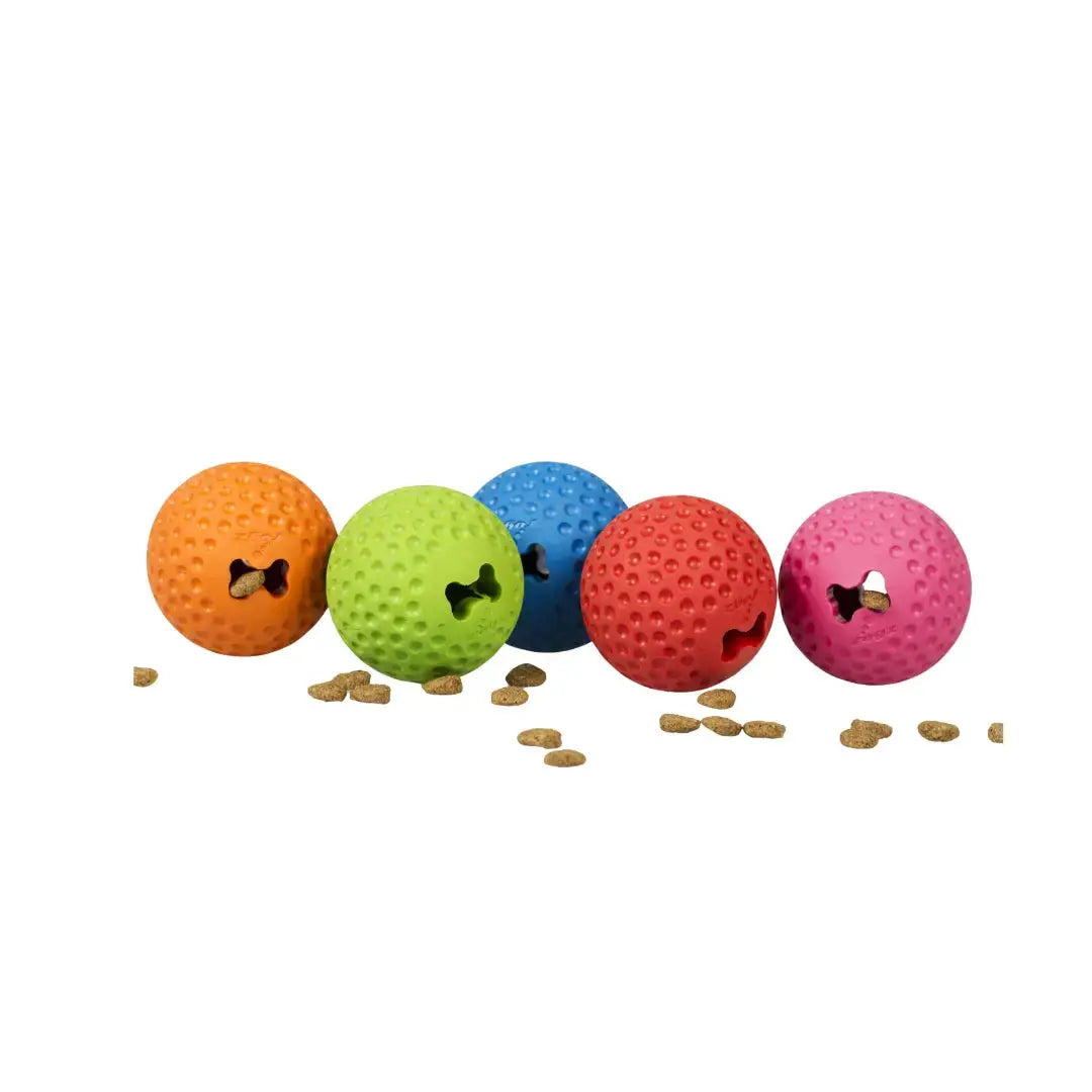Rogz Gumz Treat Ball Dog Ball Toy   | Canine & Co