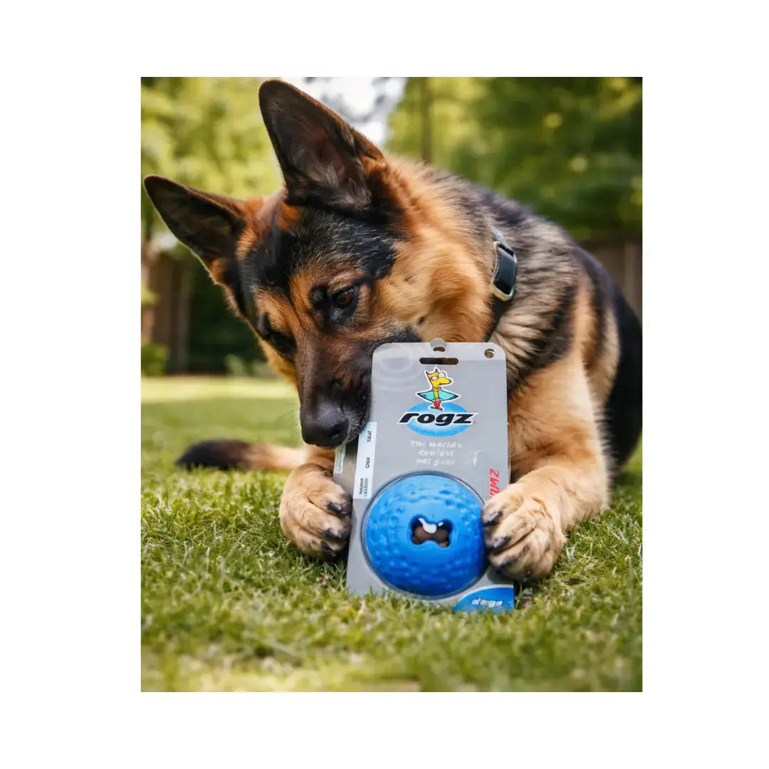 Rogz Gumz Treat Ball Dog Ball Toy   | Canine & Co