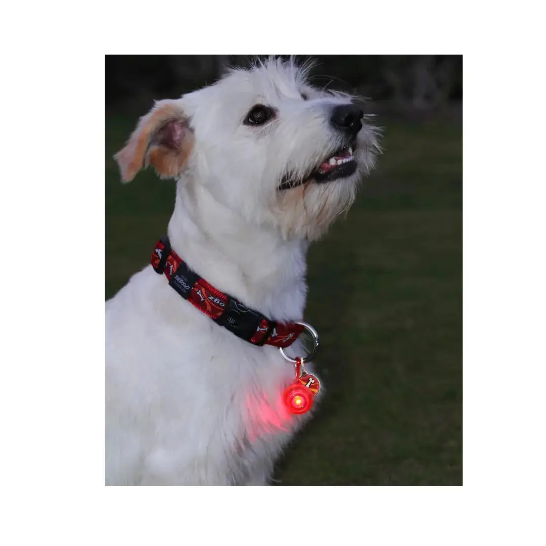 Rogz ID Tagz Roglite   | Canine & Co