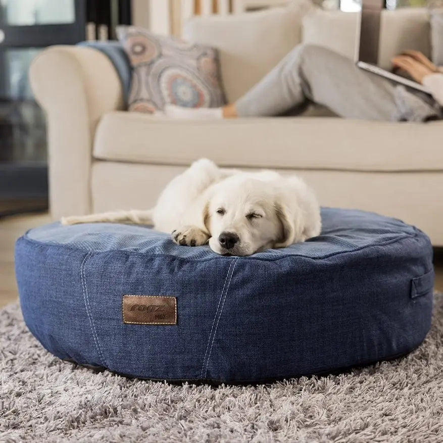 Cozy dog bed with a sleeping puppy, perfect for pet comfort and relaxation in a stylish living room.