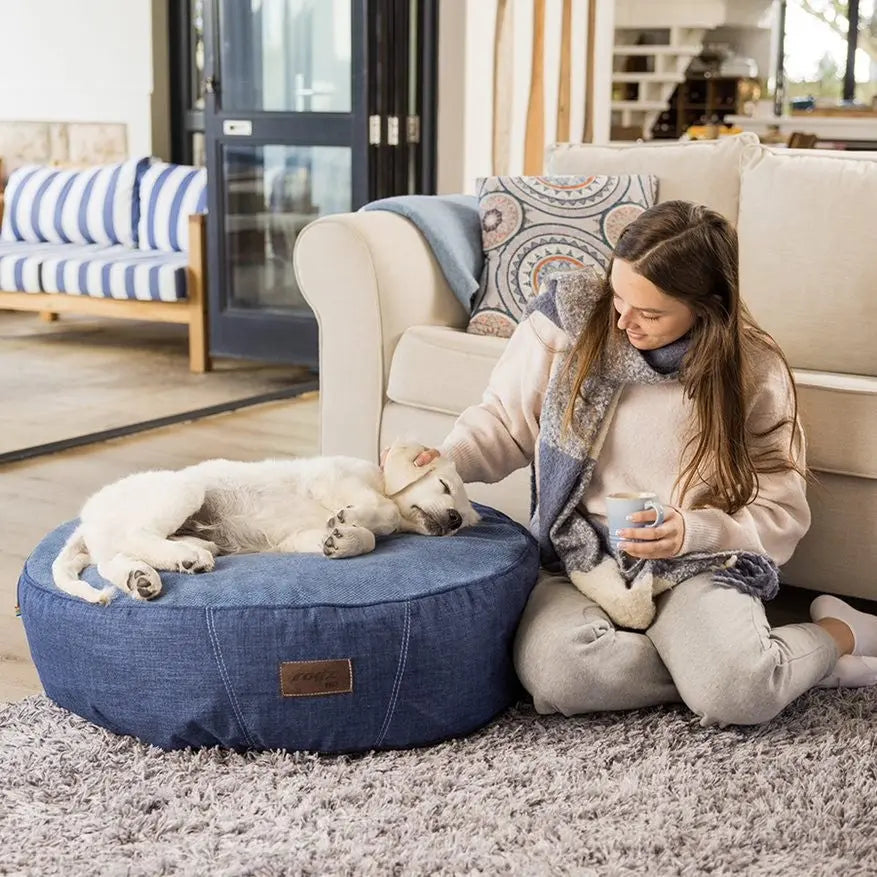 Cozy dog bed with a puppy resting, while a woman enjoys a drink in a stylish living room.