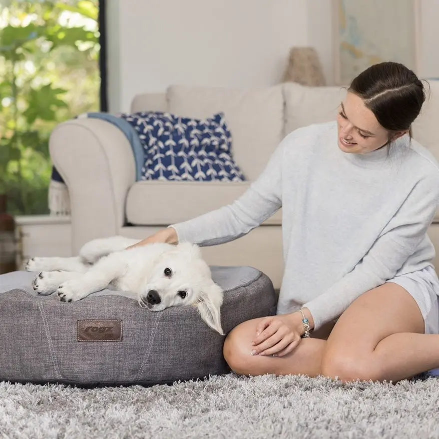 Woman petting a white dog on a cozy dog bed in a stylish living room.