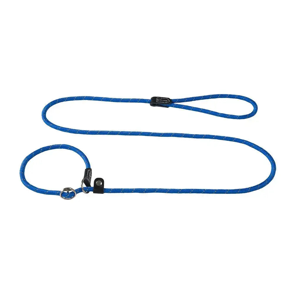 Durable blue dog leash with a comfortable grip and secure clip for safe walks.