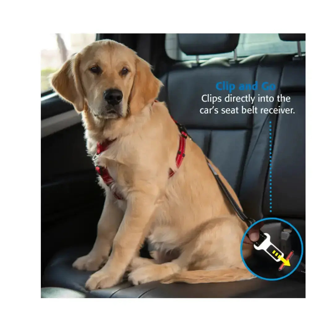 Rogz Safety Belt Clip   | Canine & Co