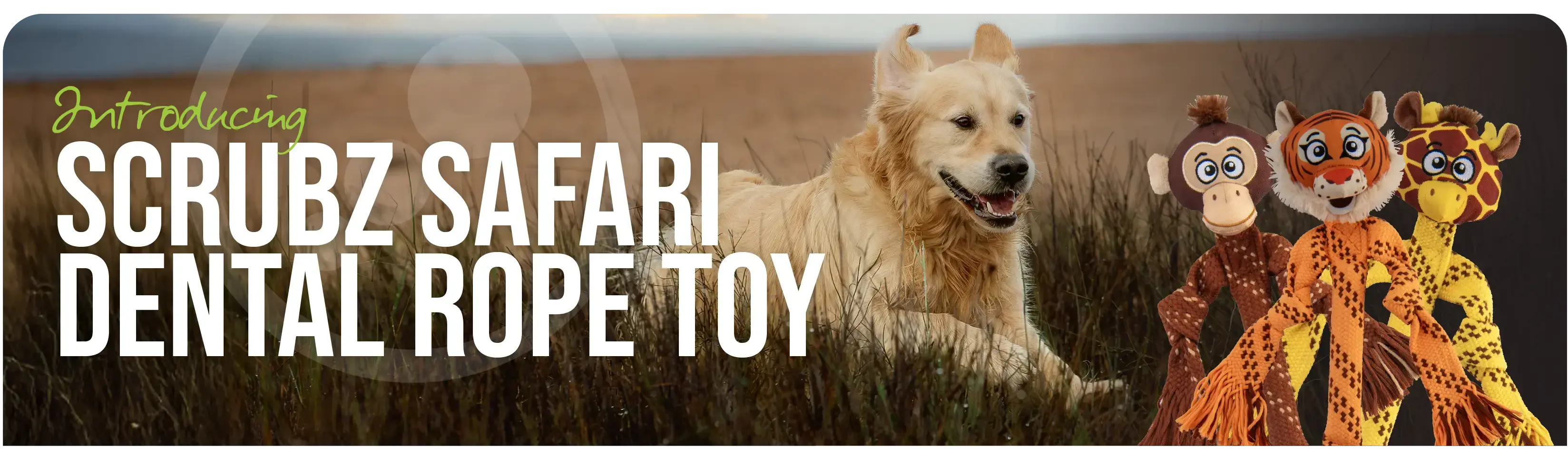 Rogz Scrubz Safari Dental Rope Toy - New   | Canine & Co