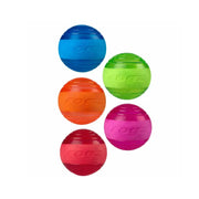 Rogz Squeekz Fetch Ball Fetch Dog Toy   | Canine & Co