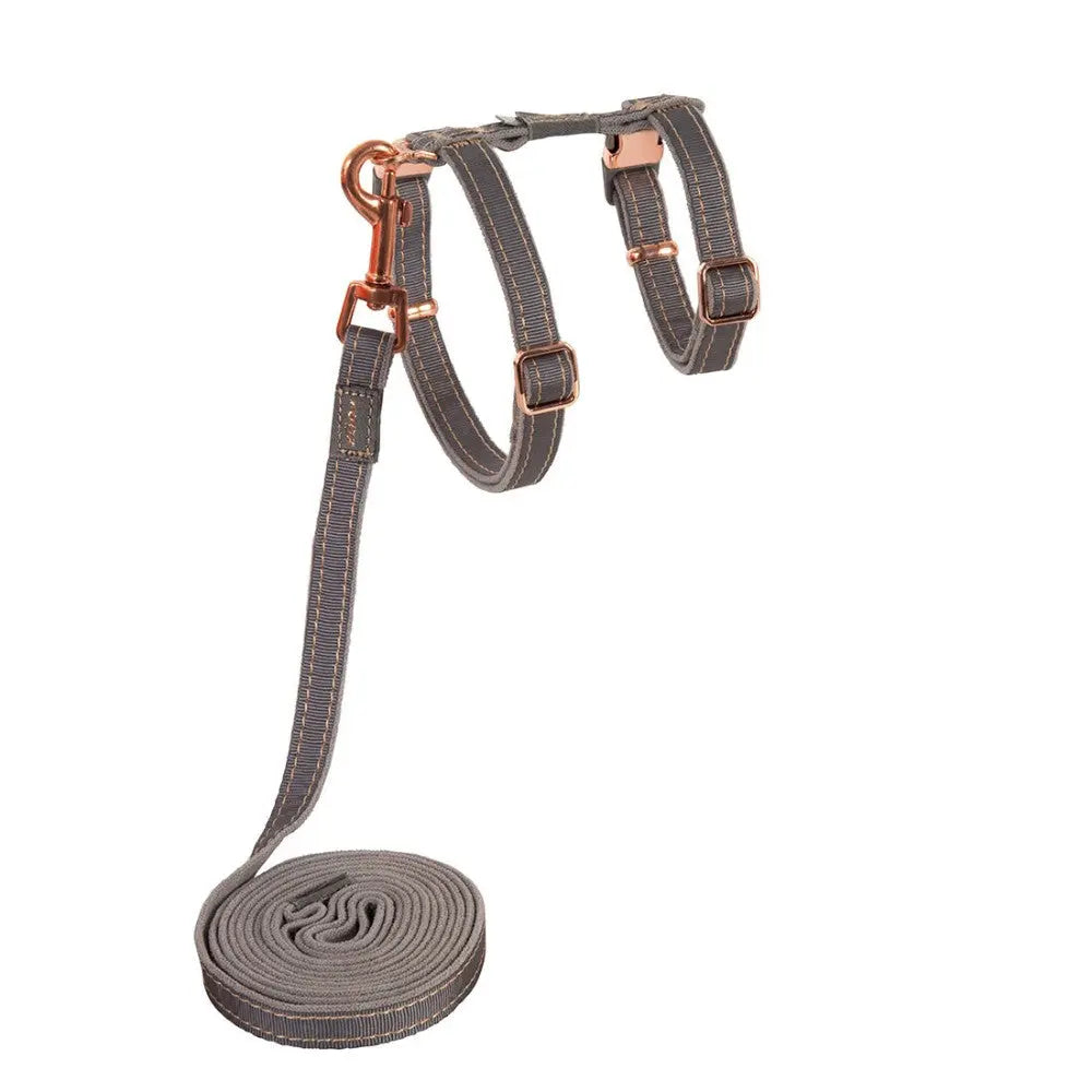Stylish dog harness and leash set in gray with rose gold accents for comfortable walks.