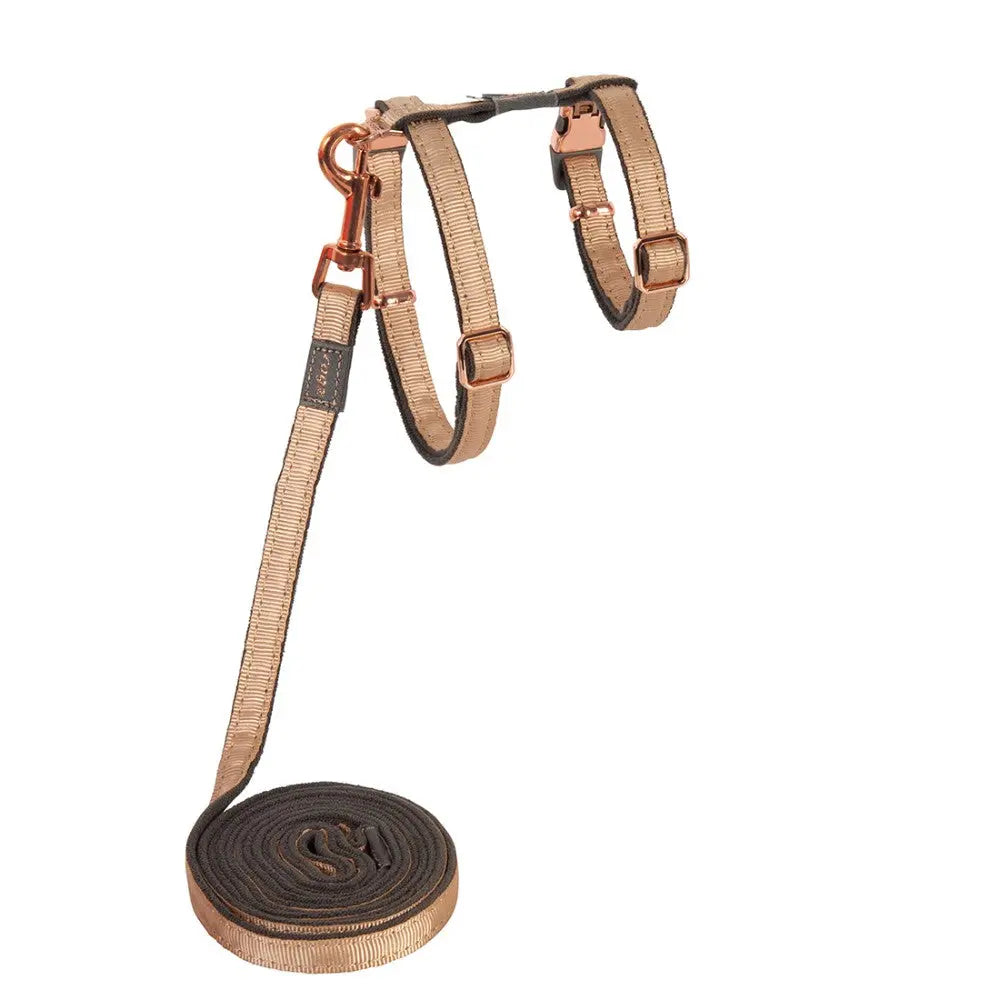 Dog harness and leash set in stylish rose gold design for comfortable walks.