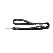 Rogz Utility Bungee Dog Leash   | Canine & Co