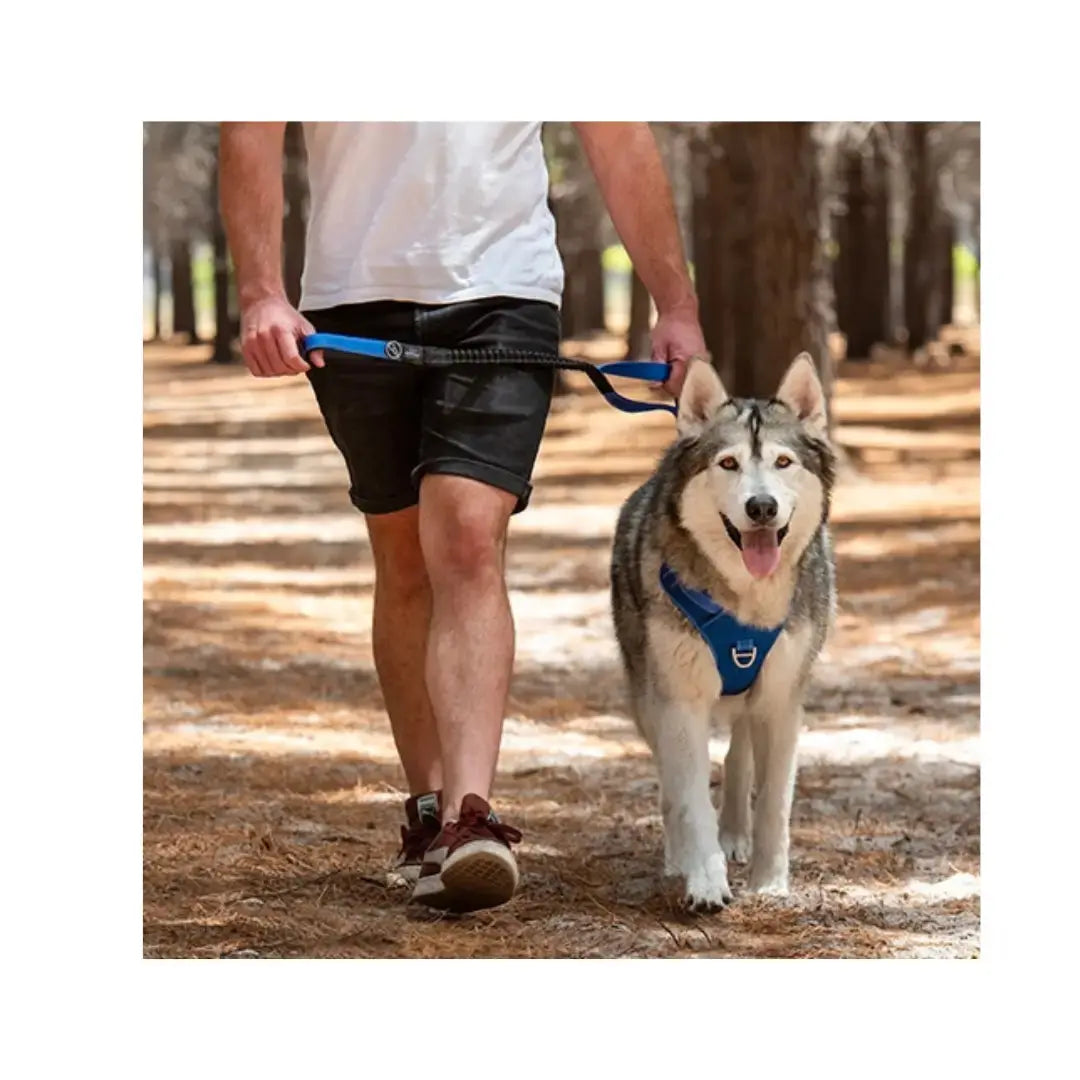 Rogz Utility Bungee Dog Leash   | Canine & Co