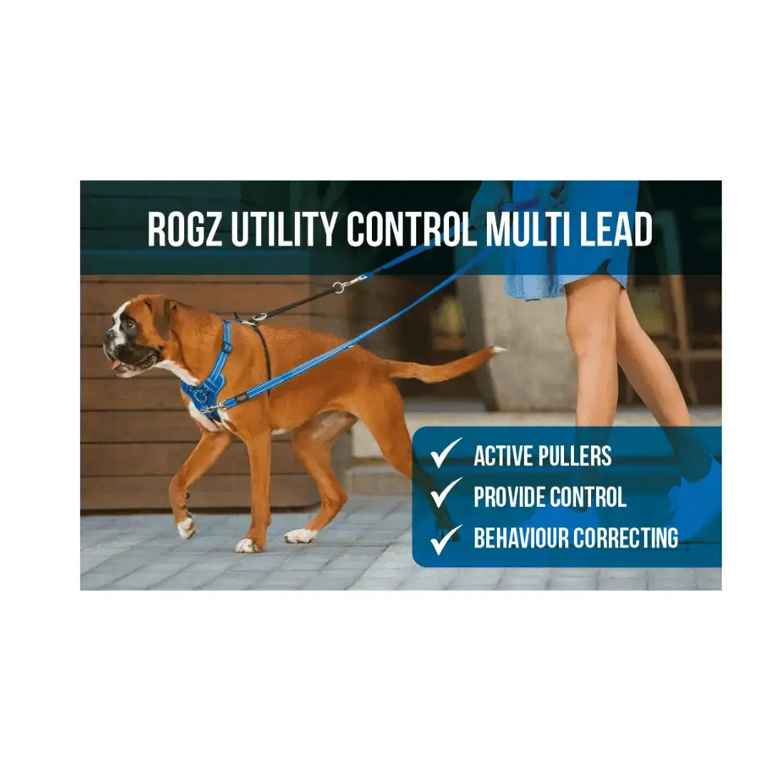 Rogz Utility Control Multi Dog Leash   | Canine & Co