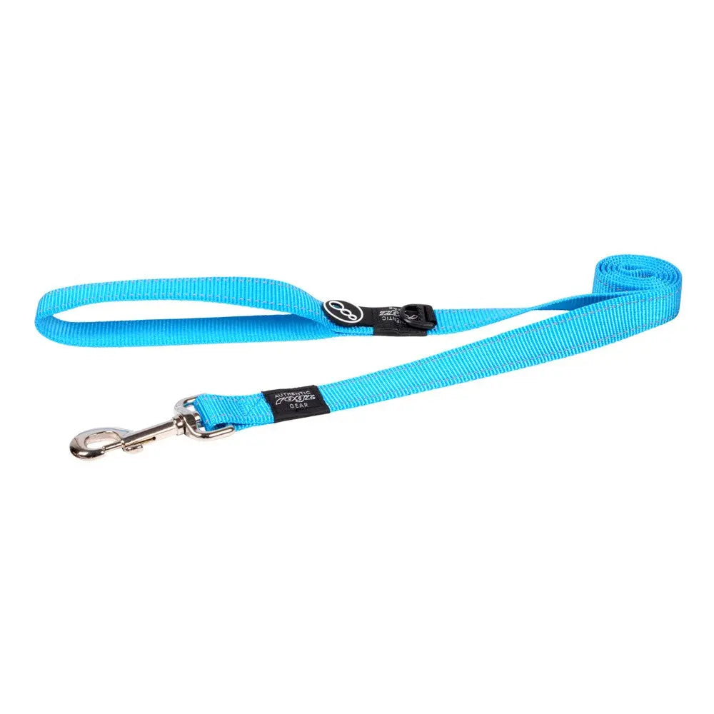 Blue dog leash with durable clip and comfortable grip for safe walks.