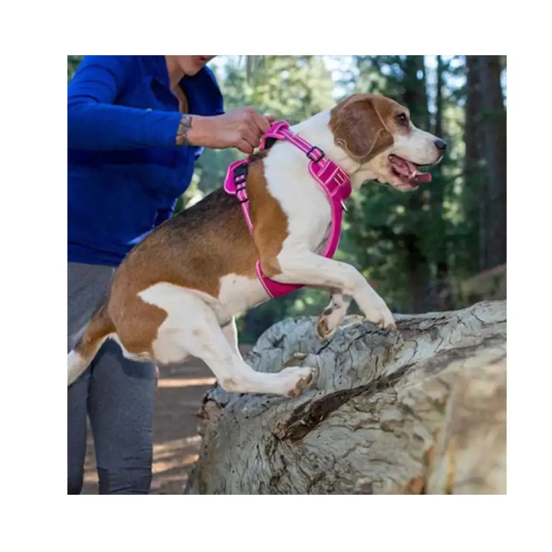 Rogz Utility Reflective Explore Dog Harness   | Canine & Co