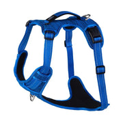 Blue dog harness with adjustable straps and padded design for comfort and safety.