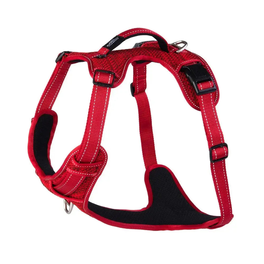 Red dog harness with padded design for comfort and secure fit during walks.