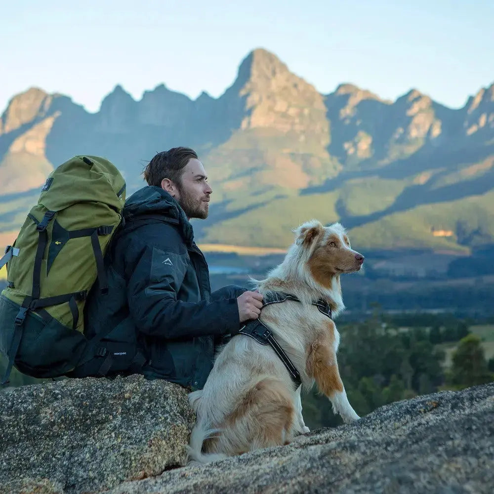 Man and dog enjoying a scenic mountain view during a hiking adventure.