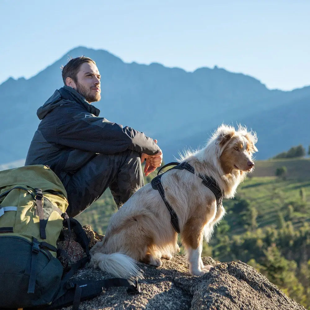 Man and dog enjoying a scenic mountain view during a hiking adventure.