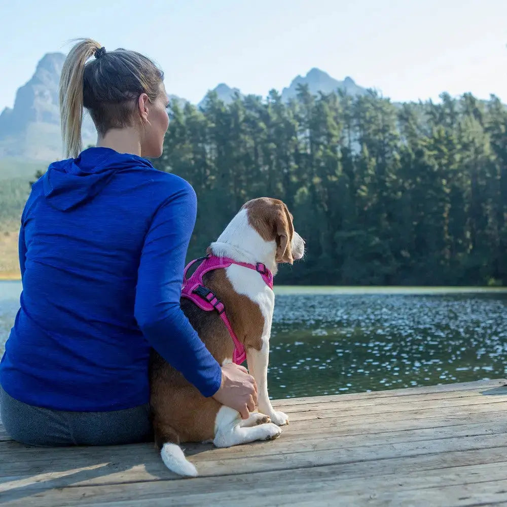 Woman and dog enjoying a serene lakeside view in nature, perfect for outdoor adventures.