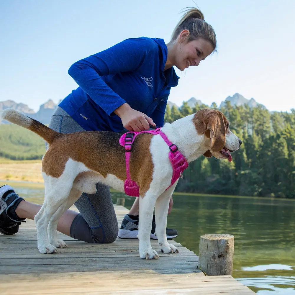 Woman adjusting a pink harness on a happy dog by the water in a scenic outdoor setting.