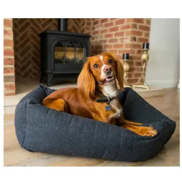 Rosewood Grey Felt Memory Foam Bed SM (54x45cm)   | Canine & Co