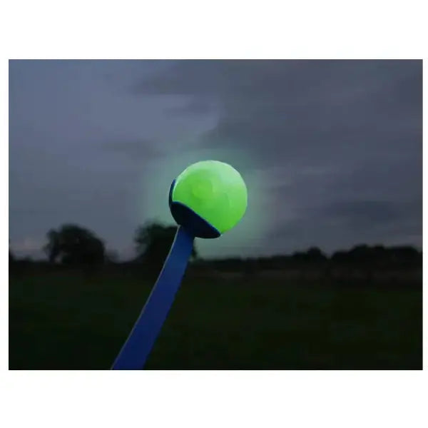 Rosewood Jolly Doggy Glow In The Dark Ball   | Canine & Co