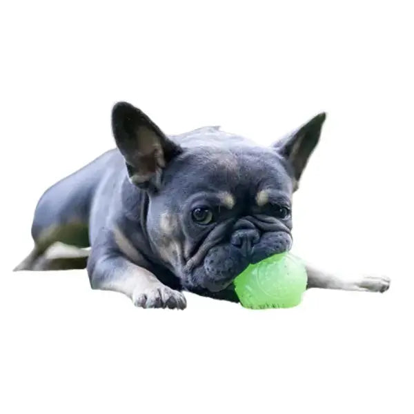 Rosewood Jolly Doggy Glow In The Dark Ball   | Canine & Co