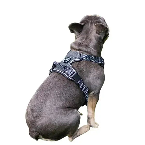 Rosewood Slip On Harness   | Canine & Co