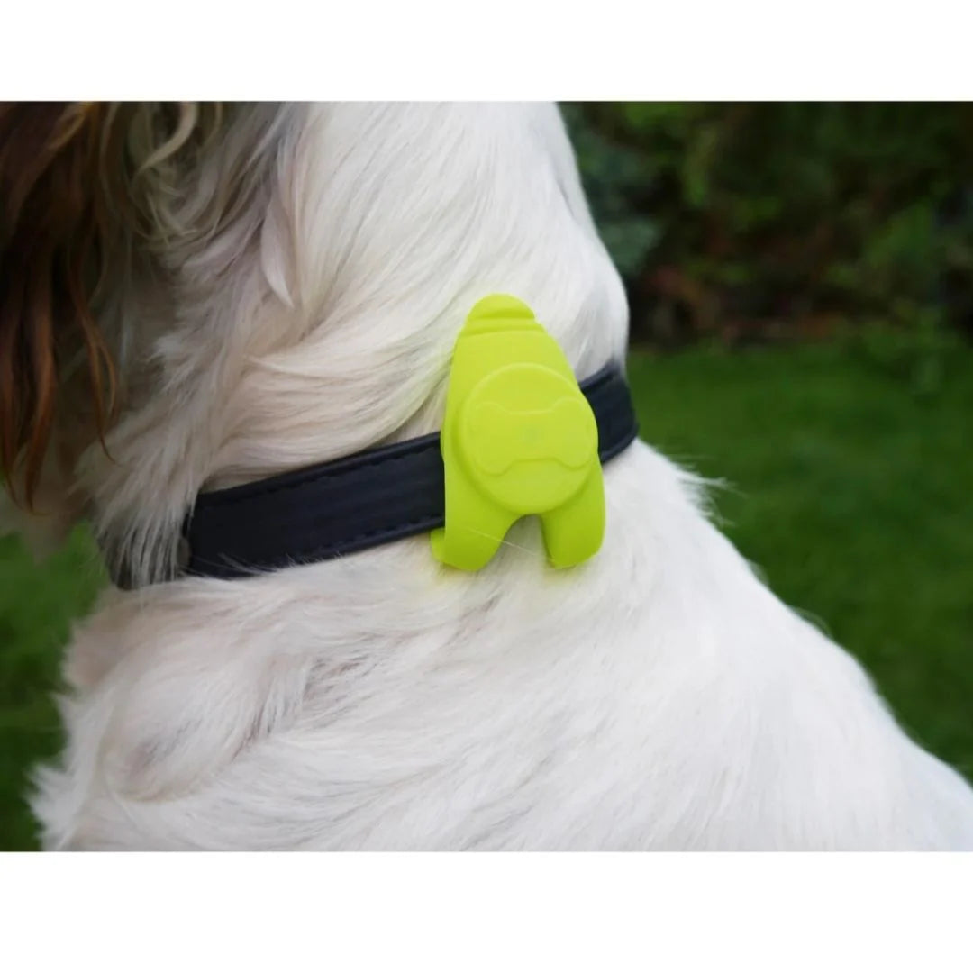 Rosewood Silicone Collar Light - Large   | Canine & Co