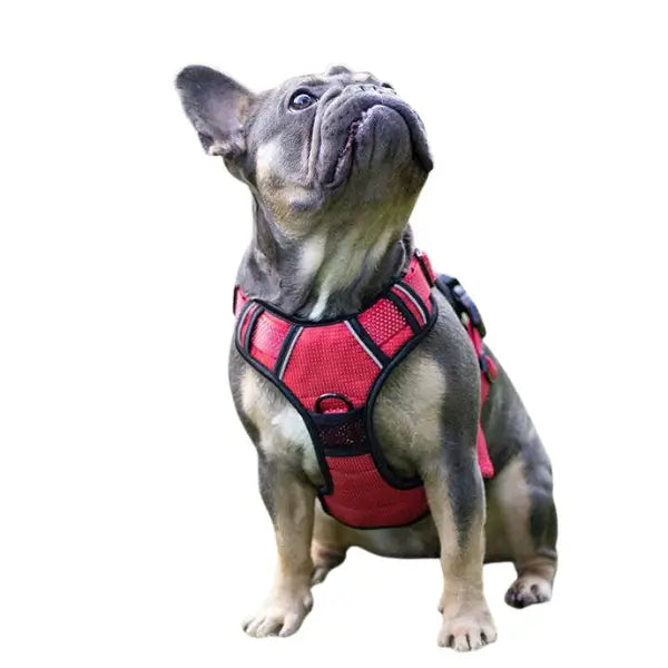 Rosewood Slip On Harness