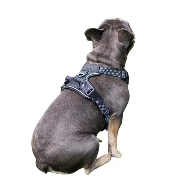 Rosewood Slip On Harness